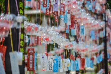 8000DDE9-2803-43C3-A45B-15485B257EE6/L0/001