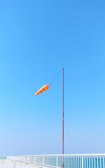 142021