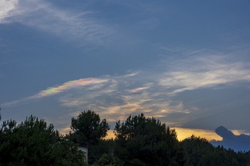 1000013172