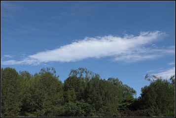 646025