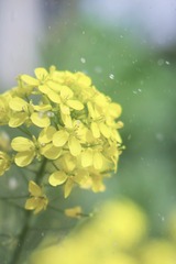 D8E89E7F-9254-4434-AEF1-0CD496EFD6CB/L0/001
