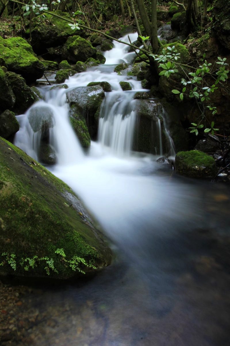 这是一条清秀的小溪