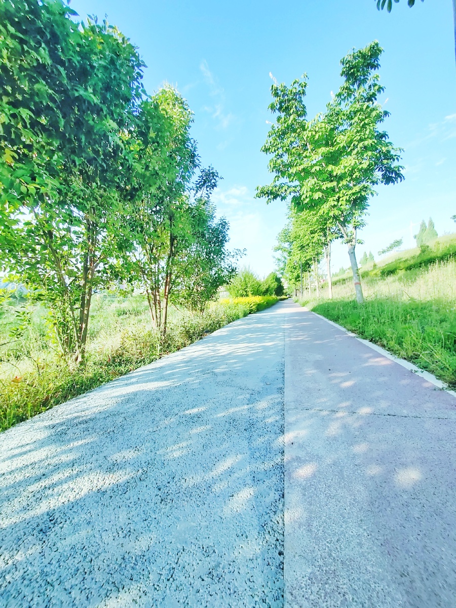 炎热的夏季看这东湖美景如画