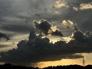 0A510882-3F3C-49FF-9CC7-A5CF0EF1AD89/L0/001