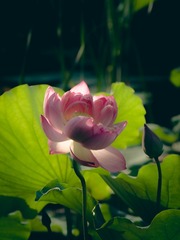 P6300364