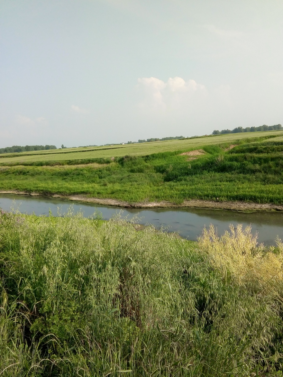 农村小河绿绿的田野悠悠的白云令人心情愉悦