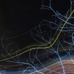 3206010