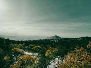 80053092-01E7-4B07-8B9F-B2216F1E08E2/L0/001