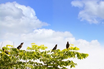 1380628