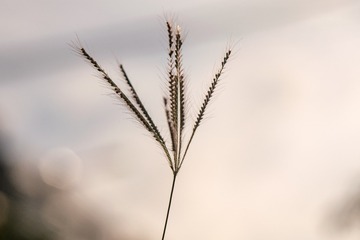 545158