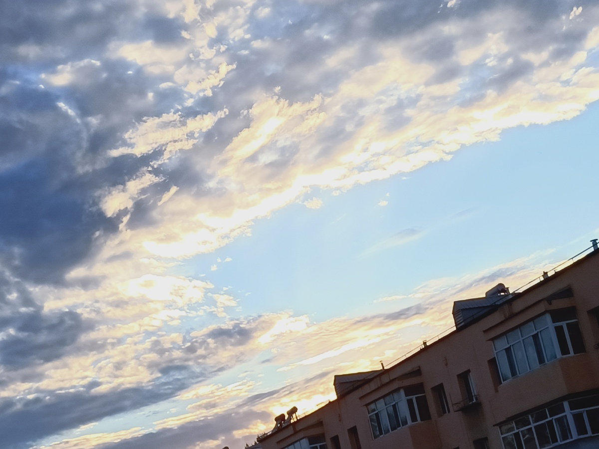 手机拍摄无滤镜原图无水印盗图必究