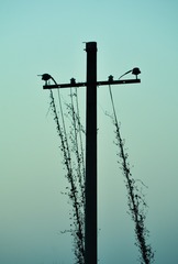 5118524C-DEAE-4565-9087-2BA4CCDEAD07/L0/001