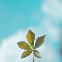 0302B013-F96F-494C-96DF-B60F541258E1/L0/001