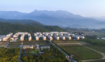 2164509