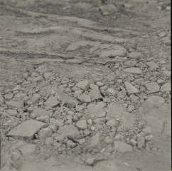 1000013131
