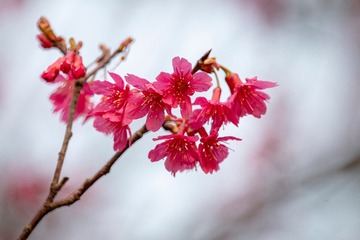 83F62928-AB6A-431D-96F6-7B8425A46578/L0/001