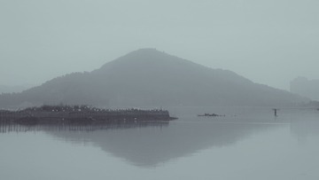333801