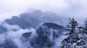 中原极顶
