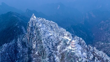025+《中原极顶》+杨立新+15896611777