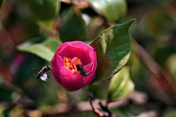 DSC_4070-