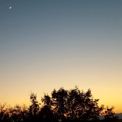 1164150