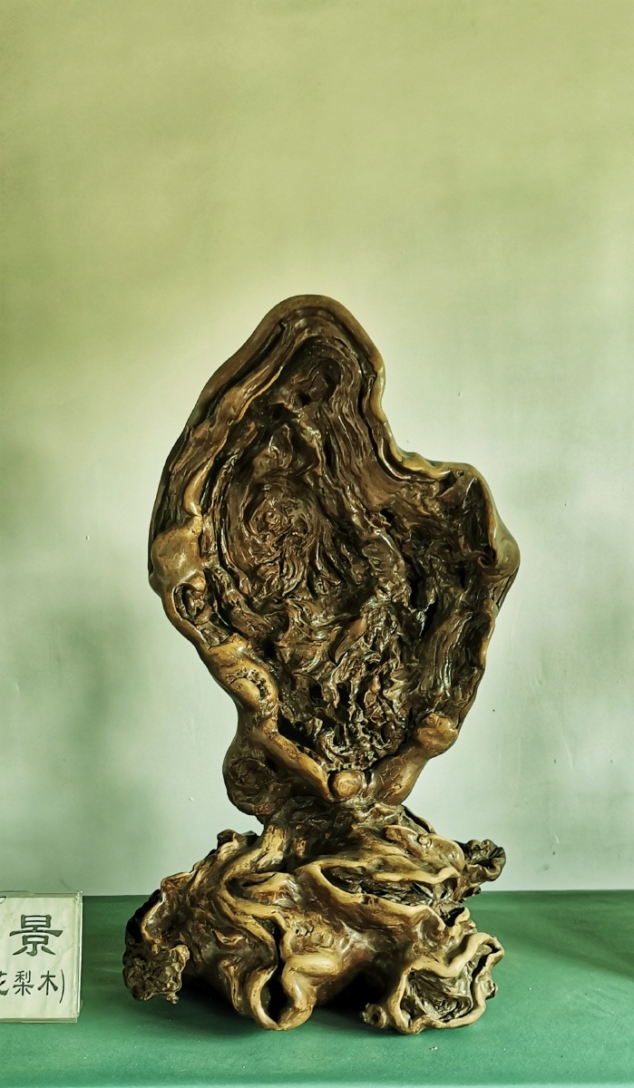 根雕艺术一一拍自惠山古镇