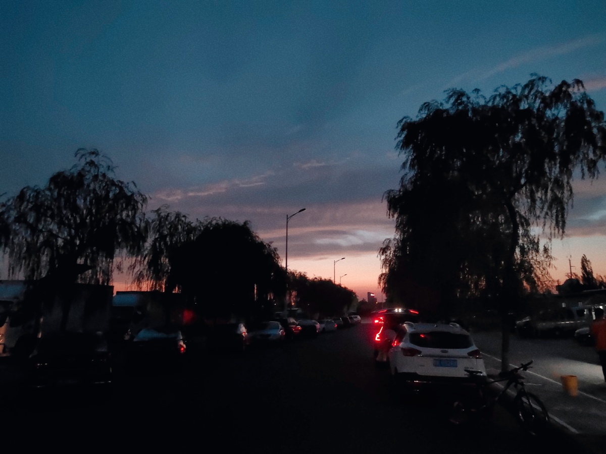 早晨和夜晚是网抑云的最佳时间