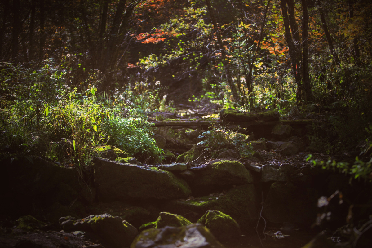 长白山脚下幽深的山谷底,有着大片的原始森林,也有着一条条石头沟,老