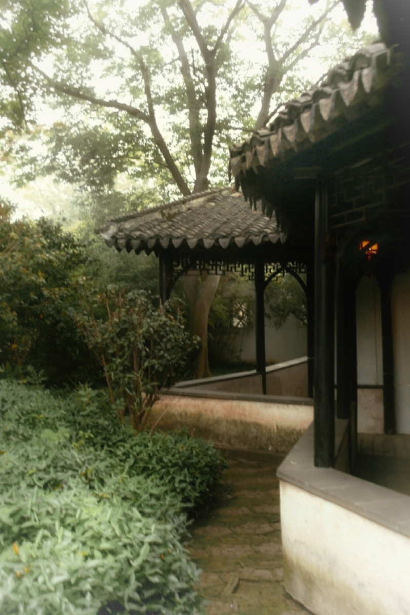 (拙政园.曲廊)苏州行旅札记