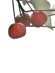 1620899