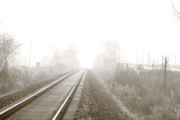 339651