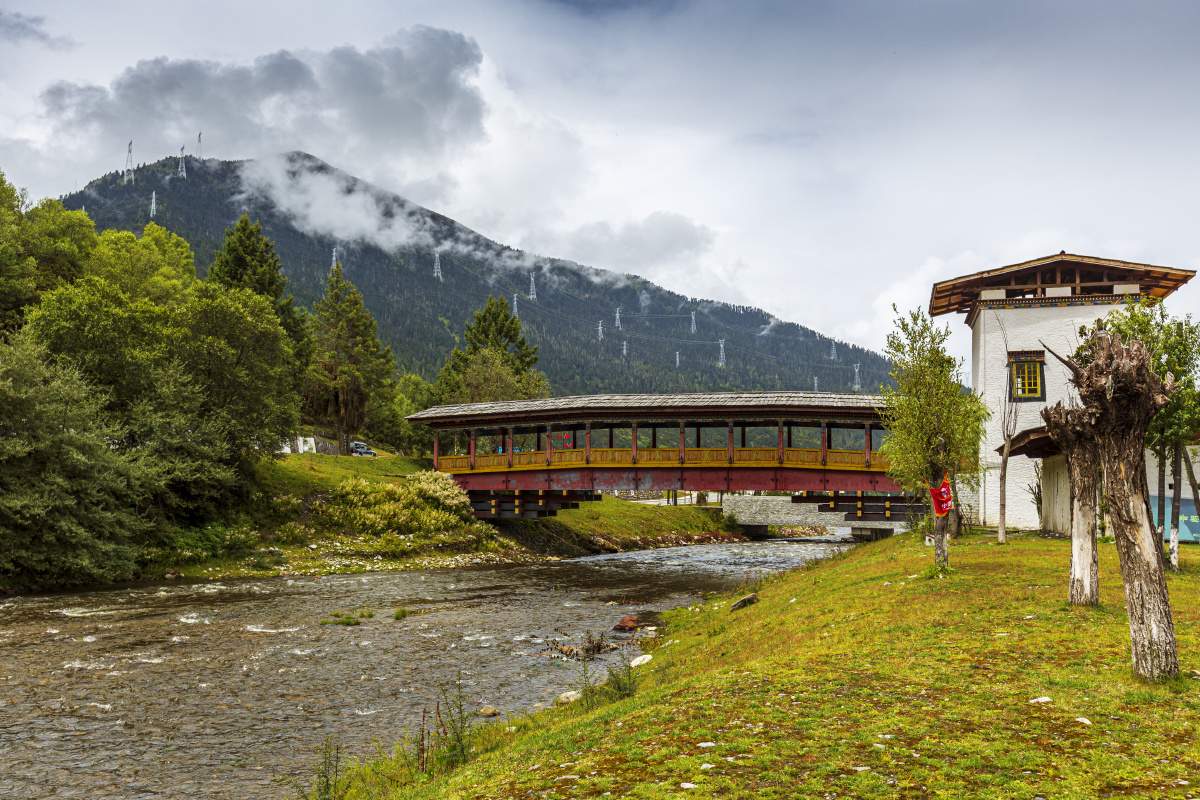 西藏林芝鲁朗镇鲁朗风光