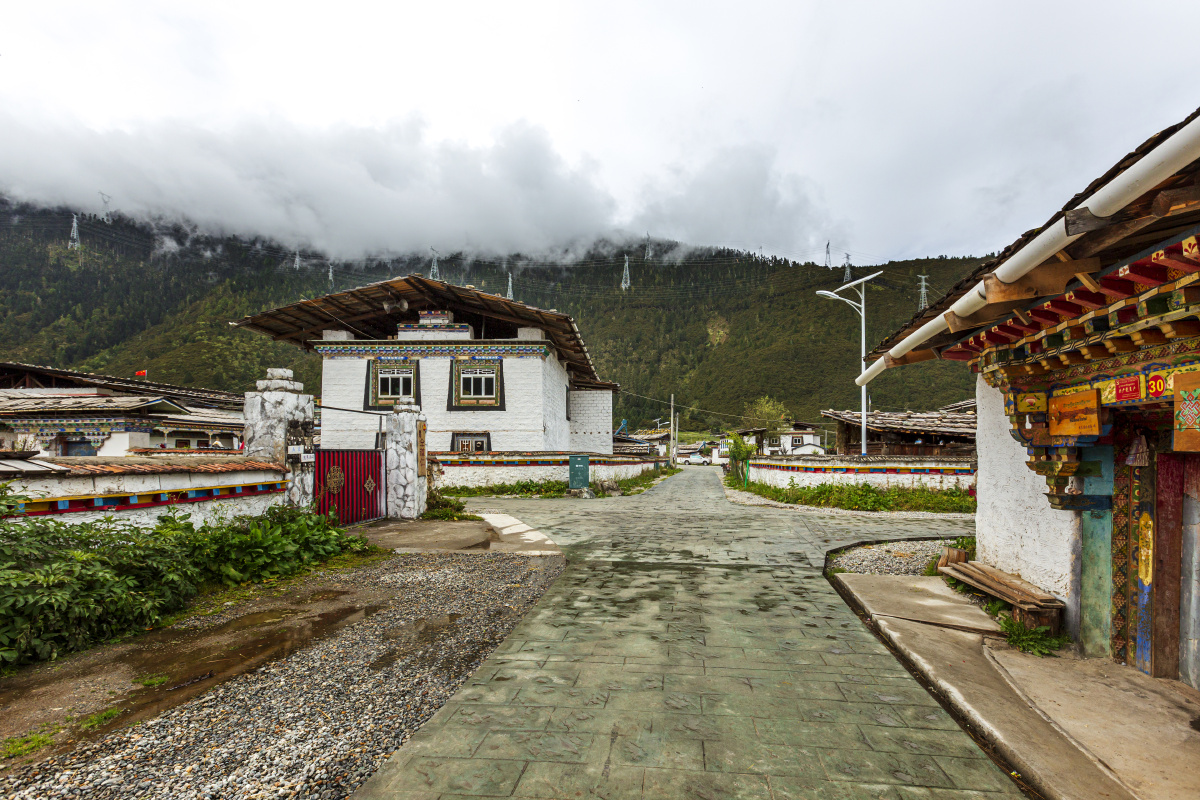 西藏林芝鲁朗镇鲁朗风光