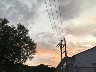 405326