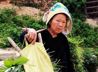 勤劳的妇女