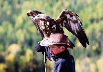 图瓦雄鹰