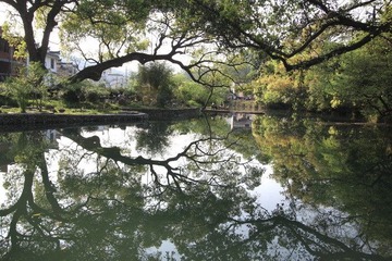 晓起村