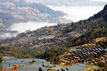 箐口