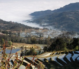 箐口