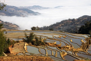 箐口
