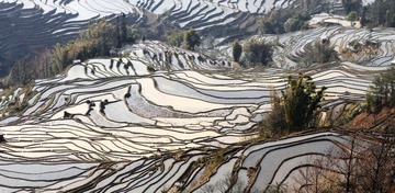 IMG_0154_缩小大小