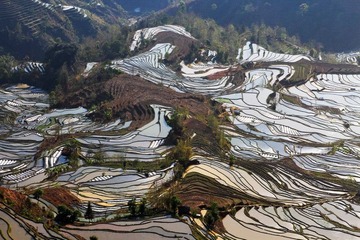 老虎嘴