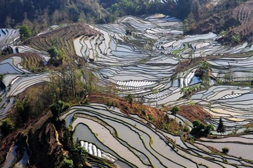 老虎嘴