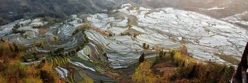 老虎嘴