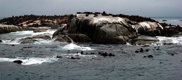 海豹岛
