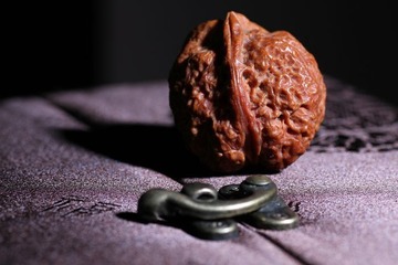 玩物