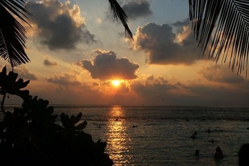 观海