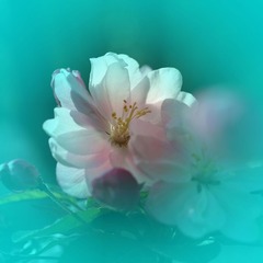 319A3486.JPG