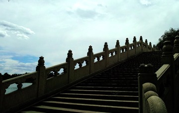 郁金香瞪眼