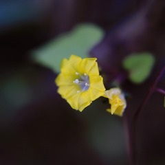 D8368893-BB7C-4599-BFA4-55F4C12B3E50/L0/001